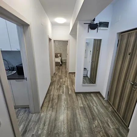 Stefi's Flat